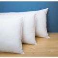 Ashby Pillow Standard 22 Oz Cs Of 12